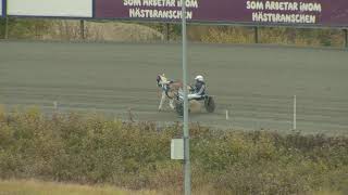 190929 Ponnydag  Lopp 2