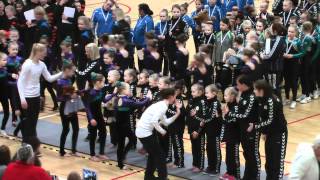 OEGF-TeamGymMiniPige3SM-20120405.mpg