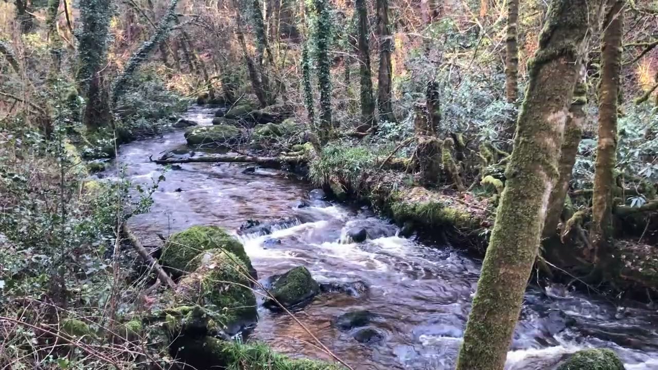 RIVER SOUNDS OVER 4 HOURS OF NATURAL COMFORTING SOUNDS FOR SLEEP, STUDY, FOCUS.