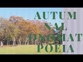 Nanomatopoeia #2--Autumnal Onomatopoeia Watch this to learn Japanese Autumn!!