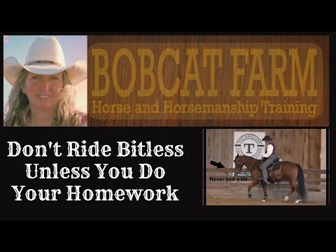 Don't Ride Bitless Unless You Do Your Homework