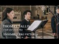 Thomas tallis i call and cry to thee o lord  ensemble pro victoria toby ward