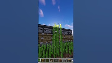 HOW to MAKE AUTOMATIC SUGARCANE FARM in MINECRAFT #shorts #minecraft #tutorial