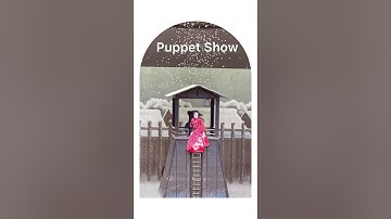 Japanese Puppet Show - Bunraku #japan #traditional #theater #puppetshow #cultural #文楽 #gifu