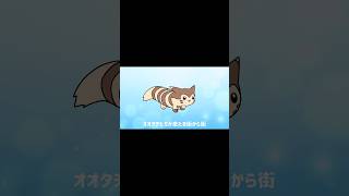 オオタチラップ FurretRap