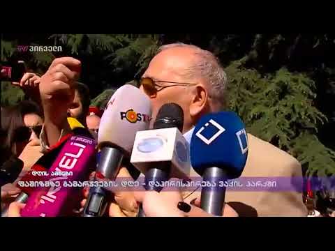 ფაშისზმზე გამარჯვების დღე - დაპირისპირება ვაკის პარკში