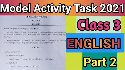 Class 3 Model Activity Task 2021#English part 2