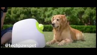 iMaxBall™ Launcher-  Interactive ball Launchers for Dogs