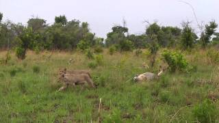 Dambwa 29 Nov 14 part 2