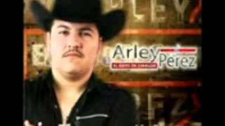 Video thumbnail of "Arley Pérez - La Mafia Dice (Corrido Del JT)"
