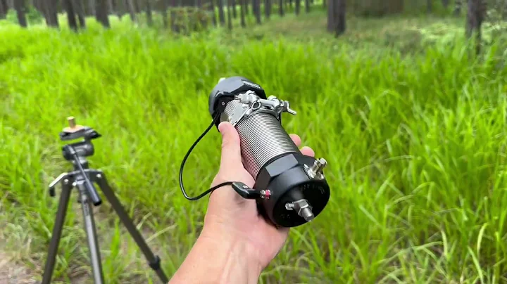 Mad Dog Coils "Little Dog"