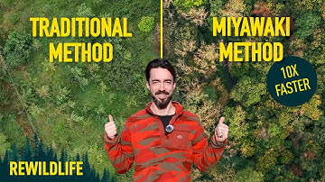 Planting a Mini Japanese Woodland on My Irish Land: The Miyawaki Method