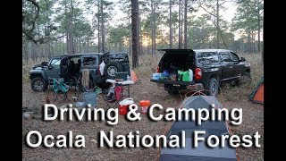 Ep. 25  4x4 & Camping Ocala National Forest