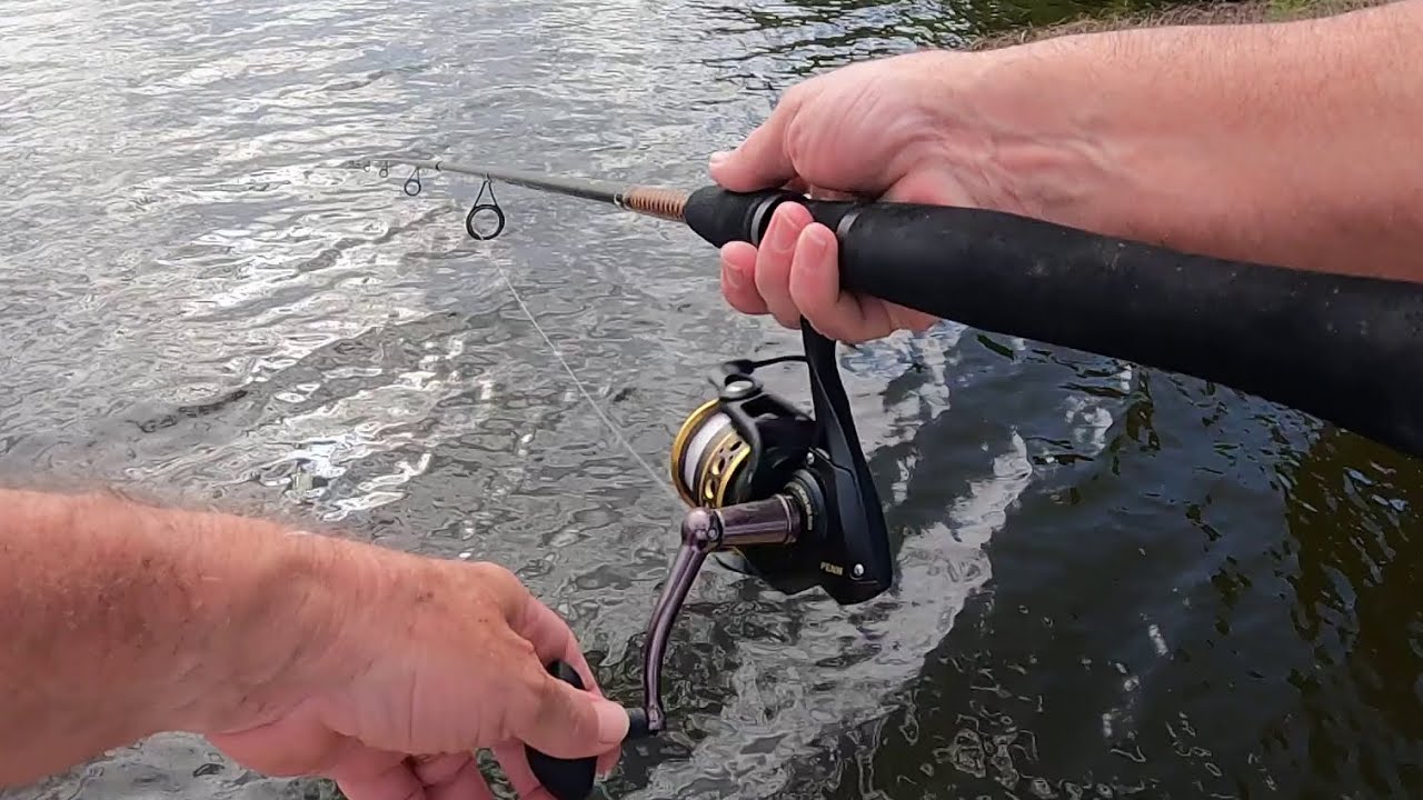 penn battle ii 4000 convertible spinning reel With top Penn Battle IV Spinning Reels