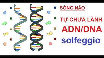 Sóng não KÍCH HOẠT SỨC MẠNH TỰ CHỮA LÀNH DNA - tần số solfeggio