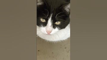 قران الكريم #عبدالباسط_عبدالصمد #تلاوة_مرتلة #قرآن_كريم #سورة_إبراهيم