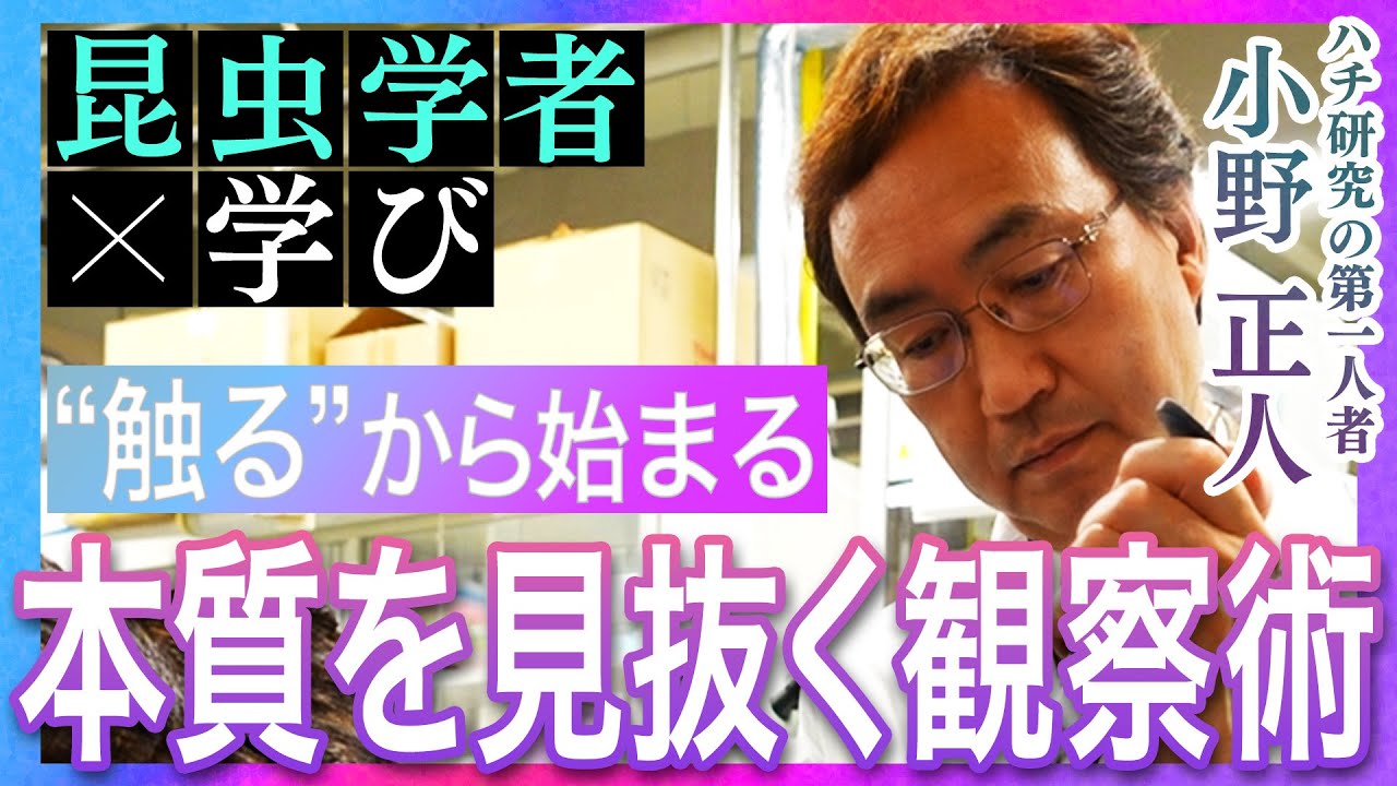 【昆虫学者 小野正人 ～後編～】「ハチの社会はリーダーを必要としない」「恩師から学んだ研究者としての生き方」昆虫と向き合い続けた先に見えてきた学びとは
