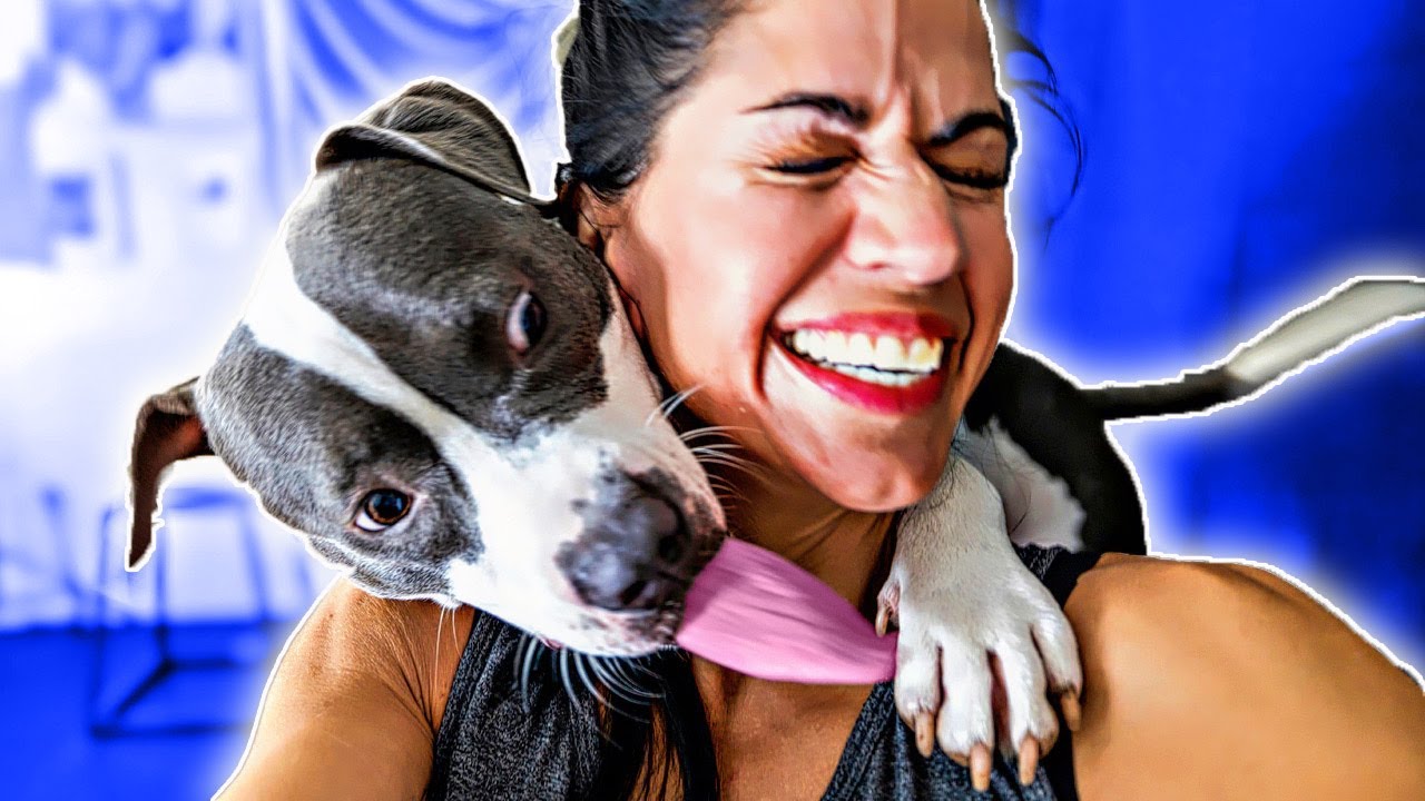 30 Days Inside My Dog Rescue YouTube