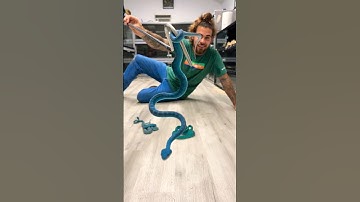 BABY BLUE Pit VIPERS!!! #shorts