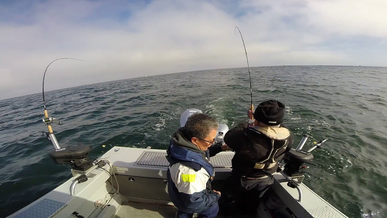 Moss Landing Salmon 4/13/19 Last Two Salmon. Limits at 10am. YouTube