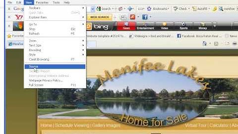 Domain Masking and Forwarding