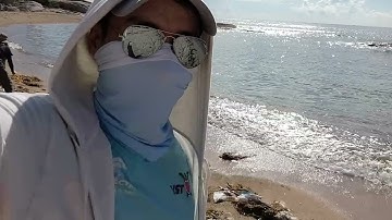 Hero House - TNV Bảo Tồn Rùa Biển: ngày 1, nhặt rác bãi biển