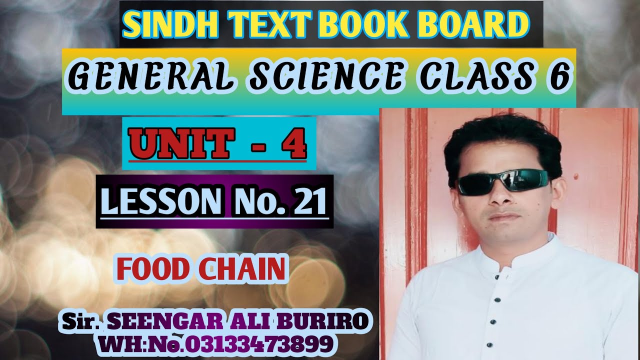 What's Food Chain | Prey and predator | Unit 4 Review Exercise | General Science class 6 Unit 4