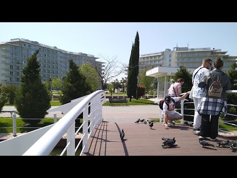 Видео: Сочи парк отель, Сириус, 20240412 115944