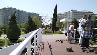 Сочи парк отель, Сириус, 20240412 115944