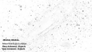 Dini Mahni Allahım. Qulaq Asdıqca Qulaq Asacaqsınız.