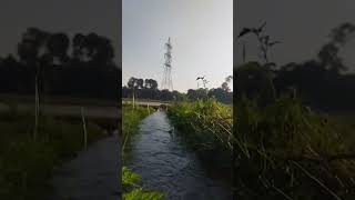 মাঠে ঘুরতে গিয়ে মোটরের জল 🌊🥰 #dailyvlog #minivlog #indianexplorers #nature #arpitas daily blog