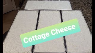 Freeze Dried Cottage Cheese