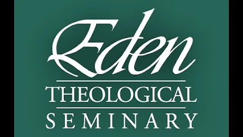 Faith Based Community Organizing, A Contextual Theology by Rev. Dr. Dietra Wise Baker