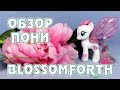 Обзор игрушки My Little Pony - Блоссомфорт (Blossomforth)