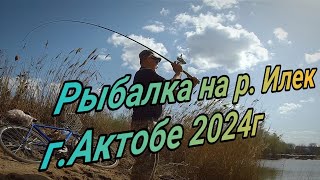Первый выезд на рыбалку после паводка Открытие сезона по ловле на донку р Илек г Актобе 2024г