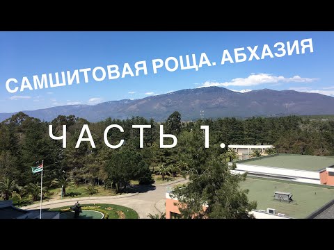 Абхазия-2022. Санаторий «Самшитовая Роща»