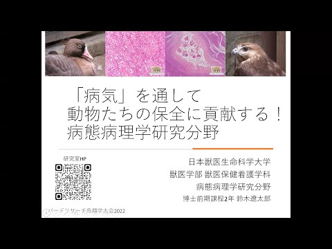 獣医組織学 第八版 日本獣医病理学会 編 獣医組織学 第八版 日本獣医病理学会 編 獣医組織学 / 日本獣医