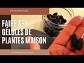 Faire ses glules maison pour une cure de plantes sant n66