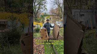 КАРТОН В ОГОРОД?! ЛУЧШЕ, ЧЕМ МУЛЬЧА