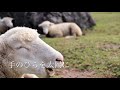 手のひらを太陽に【ア・カペラ】