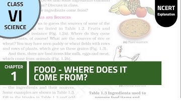 NCERT Class 6th chapter 1st:  Food Where Does It Come From?