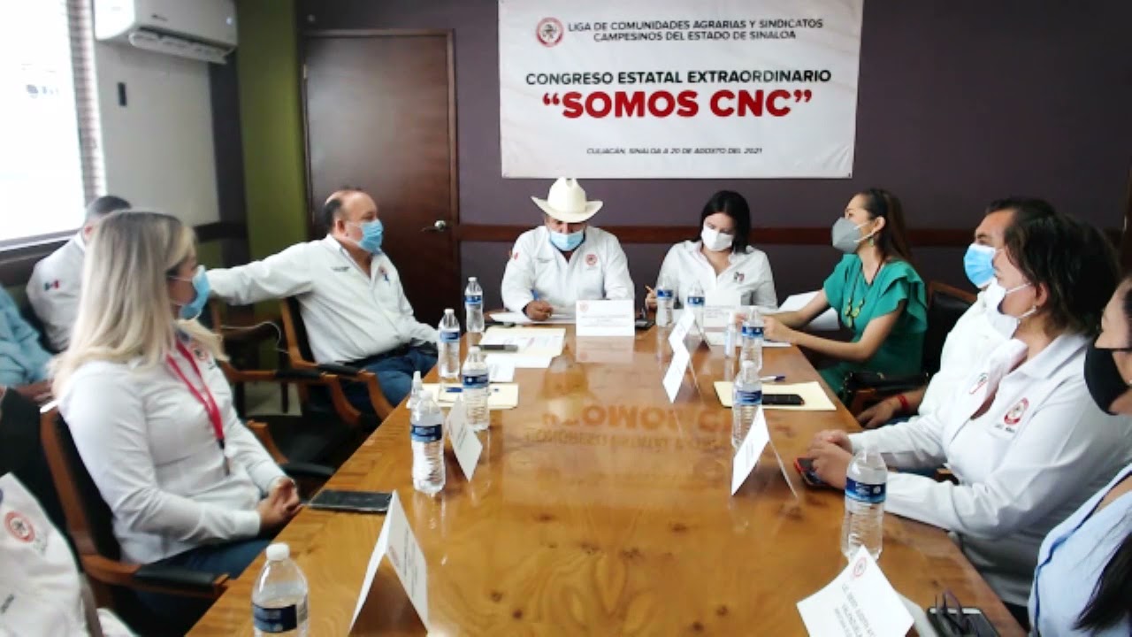 Inauguración del Congreso Estatal (virtual) 