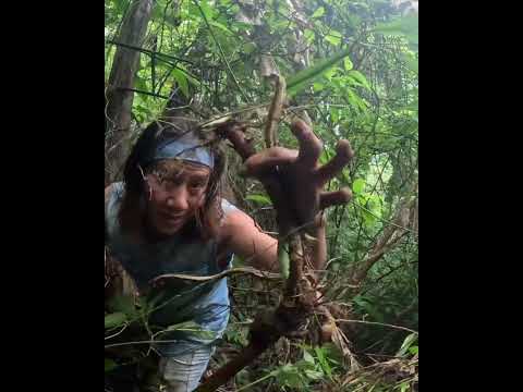 Hunting Wild Fresh Organic Vegetables Creativecontentcreator