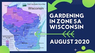 What is Growing in Wisconsin - August 2020