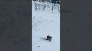 The First Time I See I Cant Control My Laugh