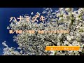 【ピアノ】ハナミズキ/一青窈