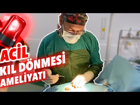 Video: Sadece 72 Saat: Cerrah, Priluchny'nin Eski Yüzüne Dönme şansını Değerlendirdi