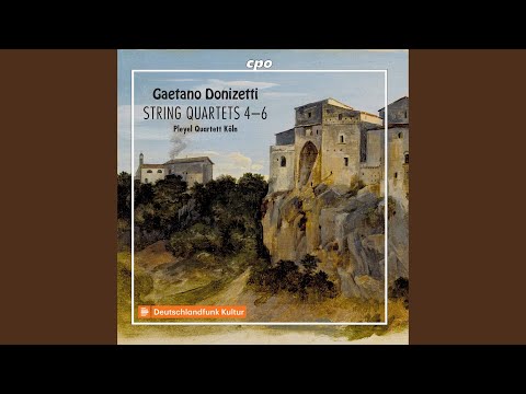 String Quartet No. 4 in D Major, A. 468: IV. Allegro