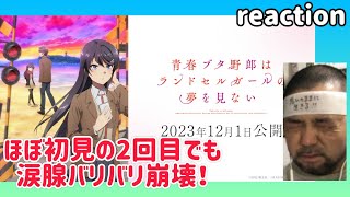 青春ブタ野郎はランドセルガールの夢を見ない 同時視聴