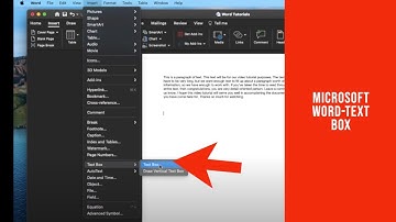 Inserting and Formatting Text Boxes in Microsoft Word